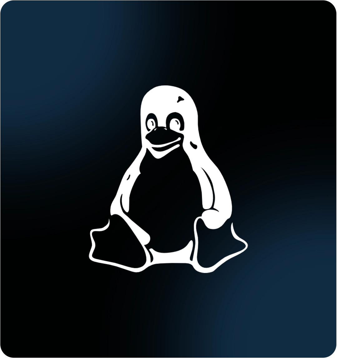 Linux Server Management