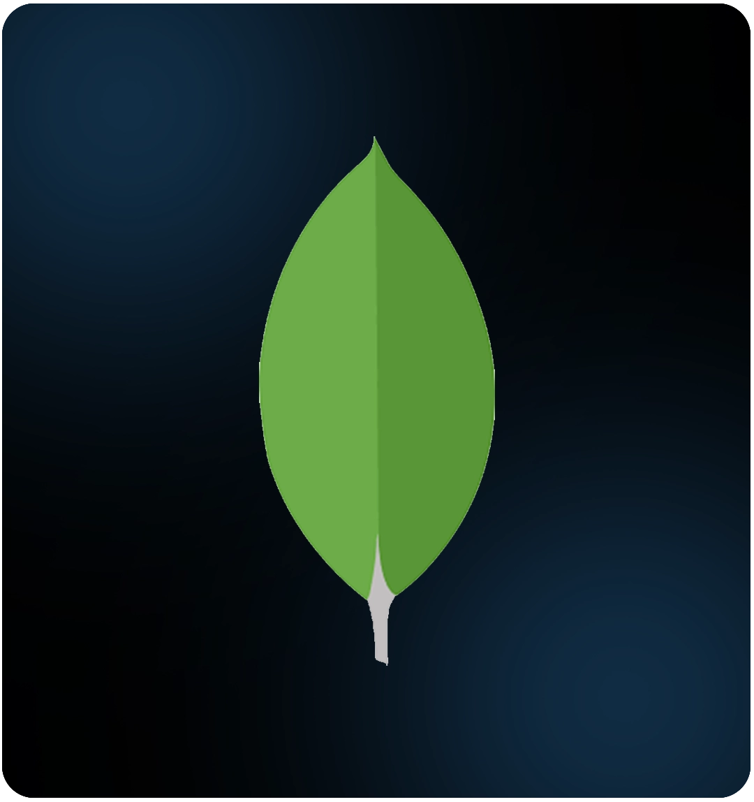 MongoDB Development