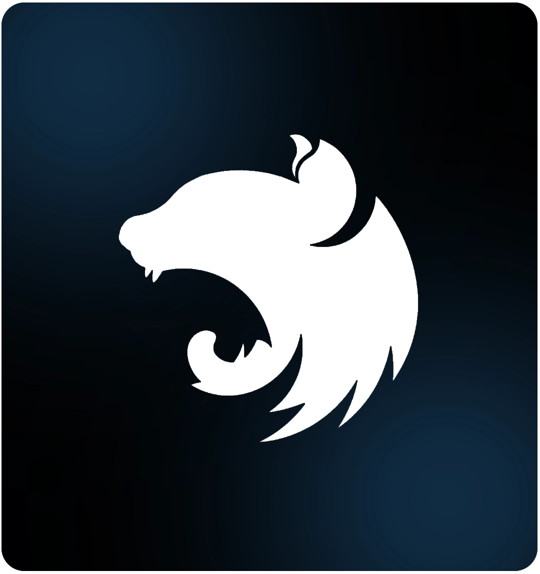 Ruby on Rails Graphic